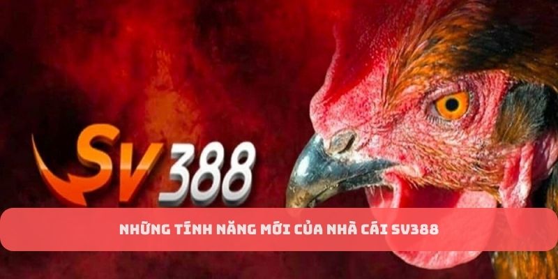 Các tính năng độc quyền của sảnh game